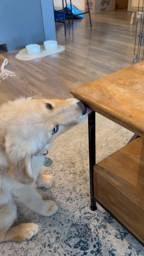 3mn cKXNxTIZyF4b.jpg