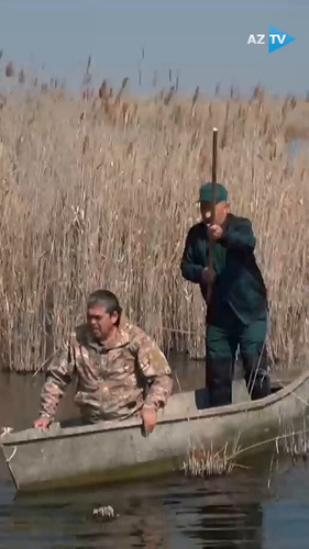 NT8Z rZV8IdnRd5r.jpg