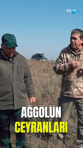 lTM0IQR 1yV9SZIO.jpg