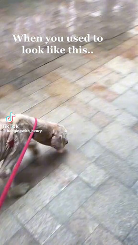 ZuMAiSxr1ckJqXIf.jpg