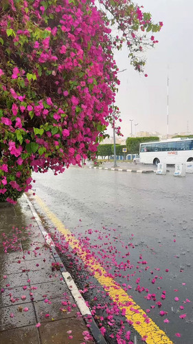 8 f4xqVVSC6aWbIE.jpg