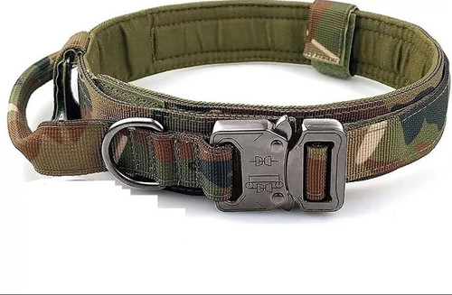 fbd62746 0a81 4288 910a e2255286b334.jpg