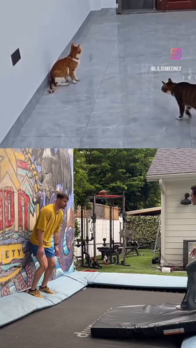 BgHlYPwBkO Evkoi.jpg