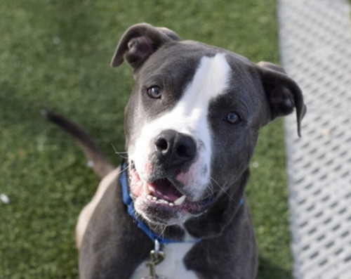 Go8QPfqWQAAc dv?format=jpg.jpg