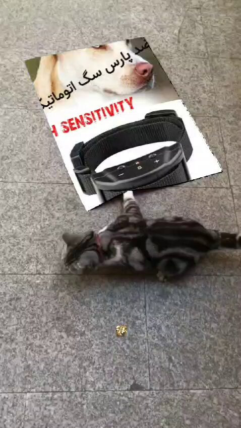 nqTp4tY fgxkcFov.jpg
