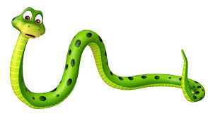 Snake.jpg