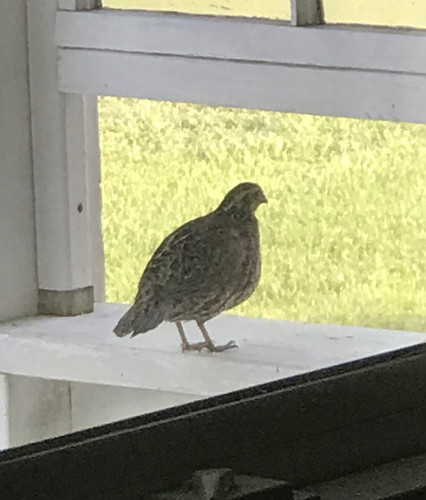 18D65D8A B4B3 4412 9A0C 2447AF33B771