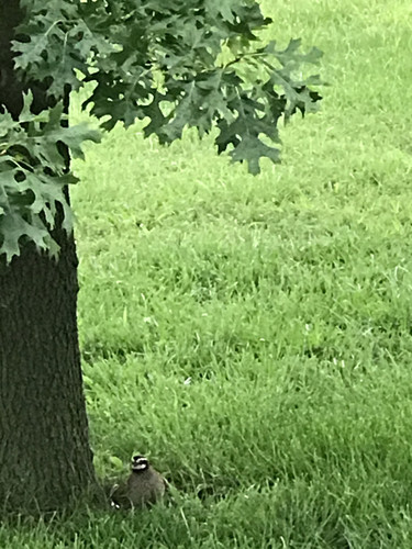 A8BCB58A 25B0 4ADE B23E F029ECBC5B95