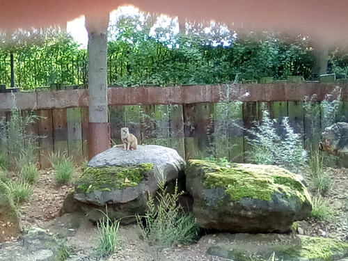 IMG 20191015 153324.jpg