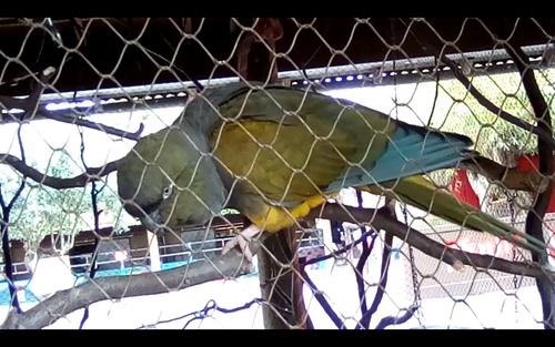 Screenshot 20250507 161906.png