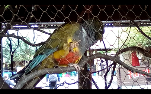 Screenshot 20250507 161917.png