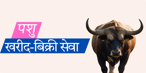 अब ऑनलाइन उपलब्ध (19).png