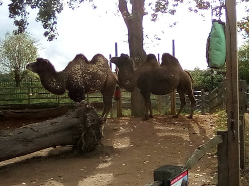 IMG 20191015 151517.jpg