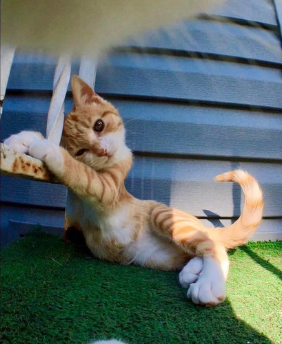 496254797 673190329032013 6921439480409819994 n.jpg