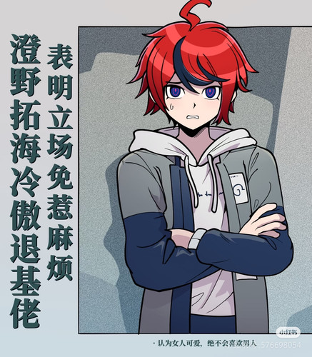 Camera 1040g3k831gvt0hj2jo505nj5uvjg90l37mracag.jpg