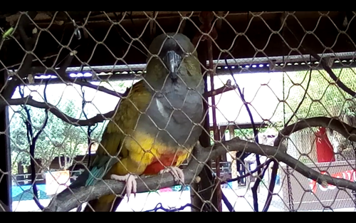 Screenshot 20250507 162042.png