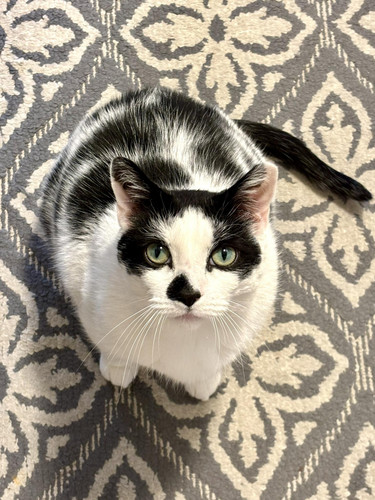 494031588 10239085722507342 8274453614616129888 n.jpg