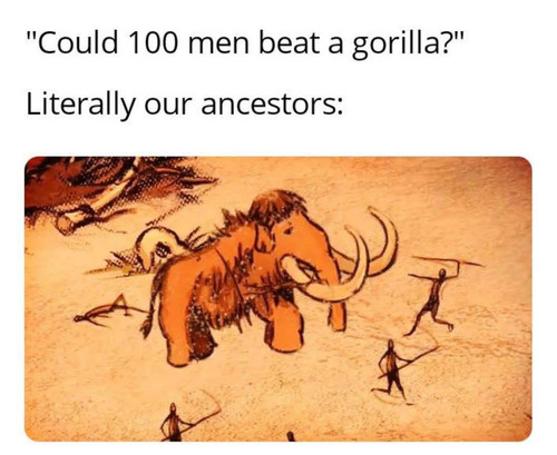 GqWkbSGaoAA92Zs.jpg