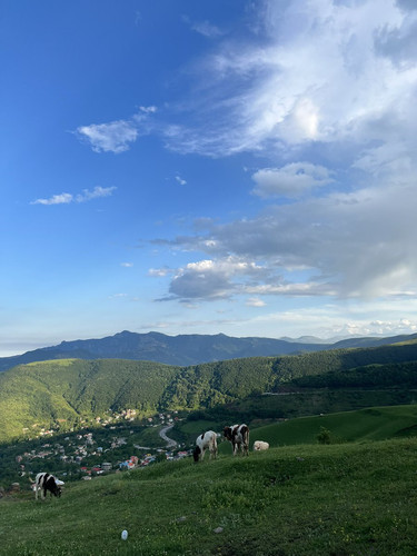 GqXjP55X0AAk7pX.jpg