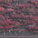 c2727afff05c.png