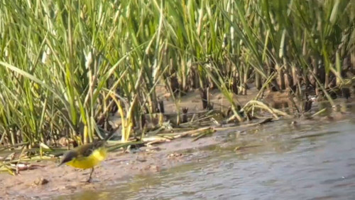 ykn4QfcJn SnAgVL.jpg