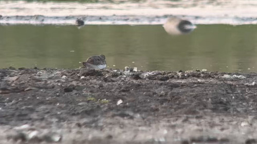 e4v m05hEs9be An.jpg