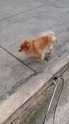 sv SuZvRo7ReoaLz.jpg