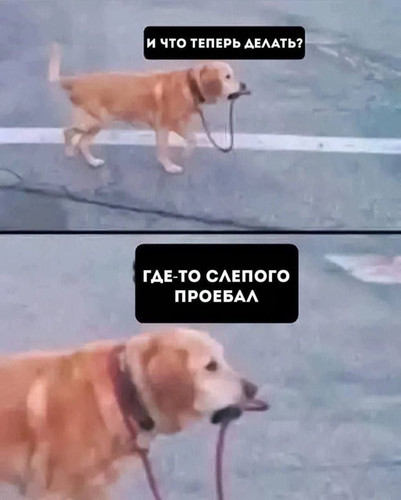 GqSoFOiWMAARlX .jpg