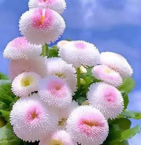 images%2Fimage 1746640800081.jpg