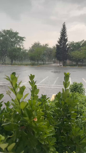 ge7pU1ZSJBTcMX2P.jpg