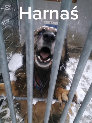 rR8 8IV47oexn 4V.jpg