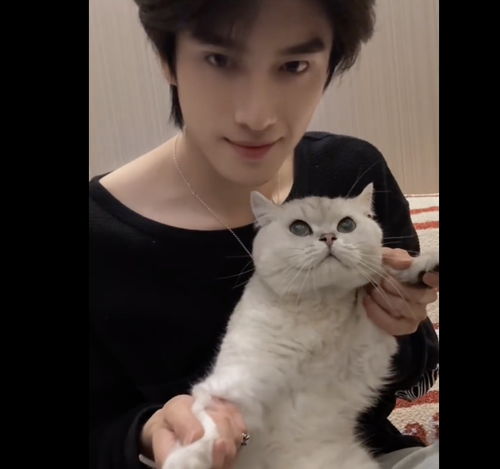 截屏2025 05 07 下午11.48.42.png