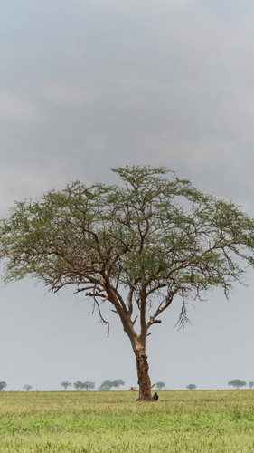 EbvA3 M2j6m5IiPg.jpg