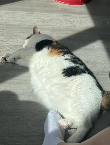 495336119 670736159081266 531303285718654434 n.jpg