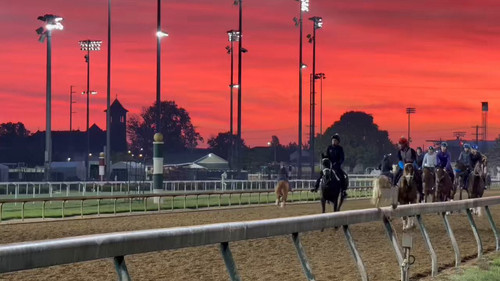 bUn7l pVE7GxaSNx.jpg