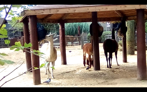 Screenshot 20250507 164153.png