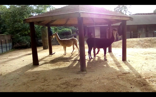 Screenshot 20250507 164631.png