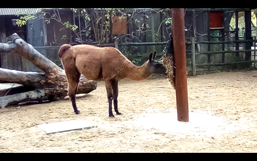 Screenshot 20250507 163145.png