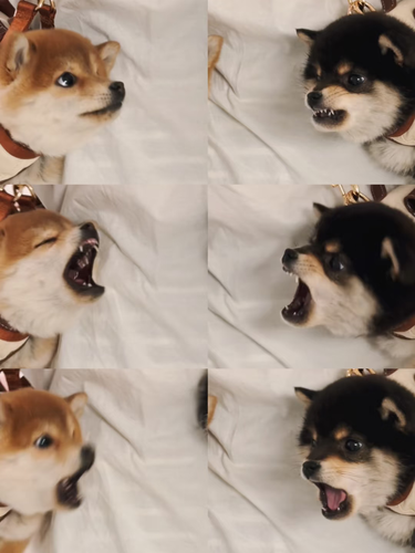 IMG 20250507 234322.png