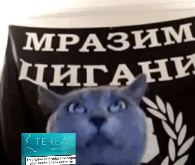 Discord VwJ3N5XF1j.png