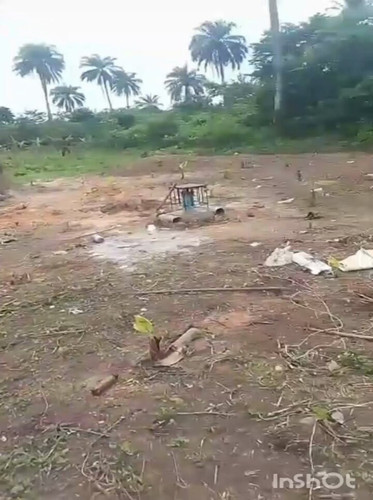 A7iawna cqUvmo7v.jpg