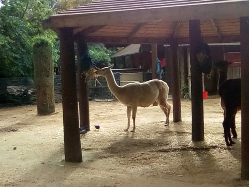 IMG 20191015 150804.jpg