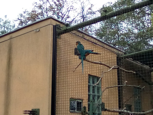 IMG 20191015 145200.jpg