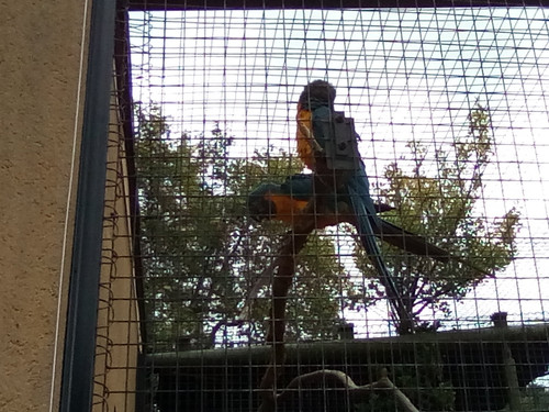 IMG 20191015 145243.jpg