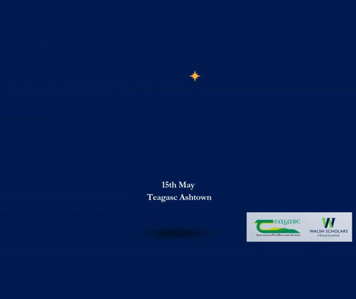 QJej9vu QTb3oda8.jpg