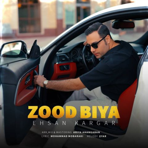 دانلود آهنگ احسان کارگر به نام زود بیا