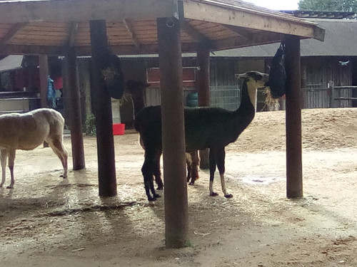 IMG 20191015 150806.jpg