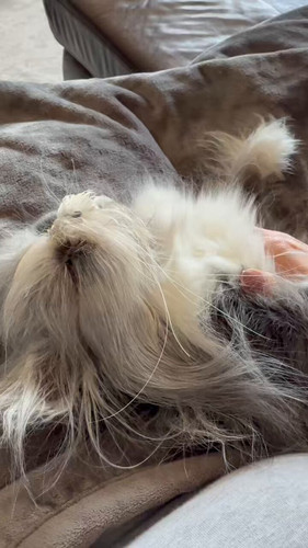 5gcIWqc7A5XQNd w.jpg