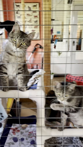 fTZVZKUbVb8 JSgW.jpg