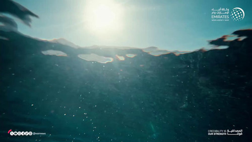 NBpG9Qn jvv9Z7YL.jpg